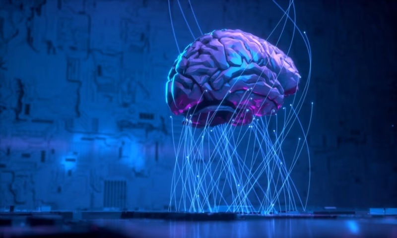 秀英区信创改造:你的开发团队为何必须具备多样性?